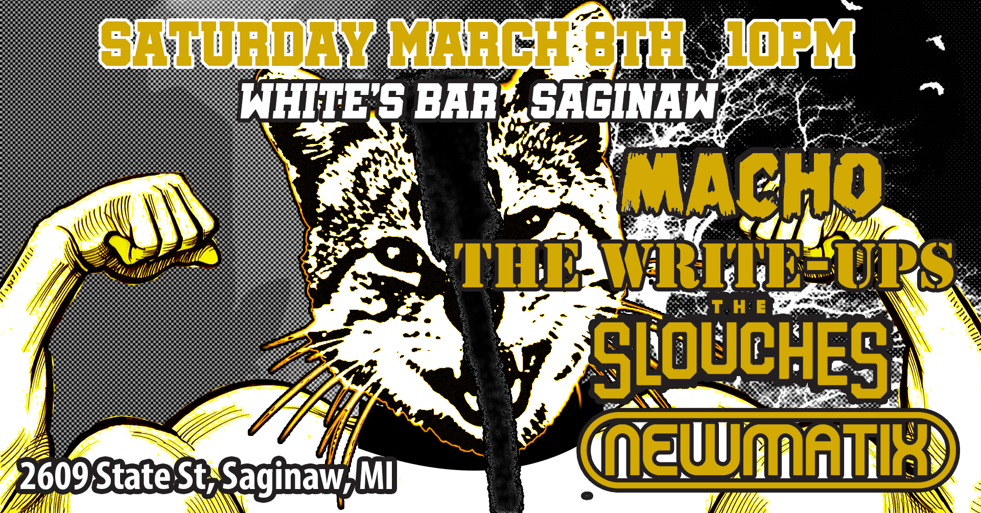 The Slouches The Write-Ups Ska Band Macho Band Detroit Newmatix Punk Band White's Bar Saginaw